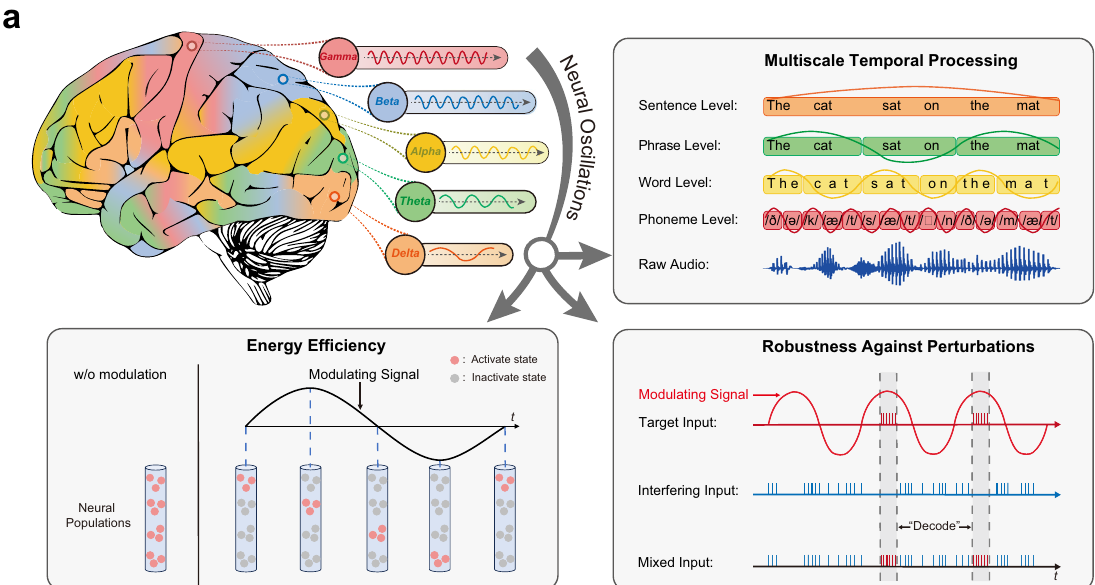 Figure 1 from Rhythm-SNN: neural oscillations and temporal processing